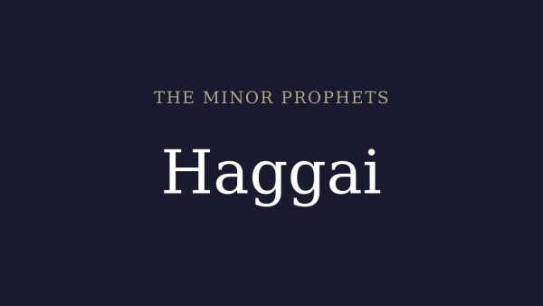 Now Is The Time (Haggai #1) Image